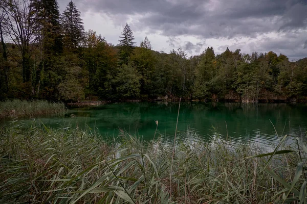 Belles Eaux Émeraudes Dans Parc National Des Lacs Plitvice Croatie — Photo