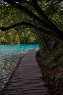 Plitvice Gölleri Ulusal Parkı 'ndaki Ahşap Geçit - Hırvatistan