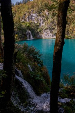 Plitvice Gölleri Ulusal Parkı 'ndaki Güzel Zümrüt Suları - Hırvatistan