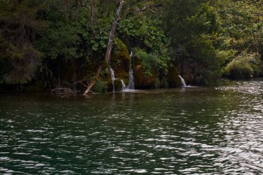 Plitvice Gölleri Ulusal Parkı 'ndaki Güzel Zümrüt Suları - Hırvatistan