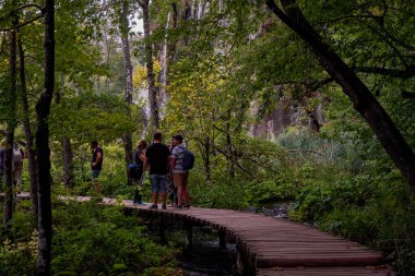 Plitvice Gölleri Ulusal Parkı 'ndaki Ahşap Geçit - Hırvatistan