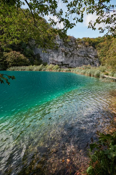 Gyönyörű Smaragd Vizek Plitvicei Tavak Nemzeti Parkban Horvátország — Stock Fotó