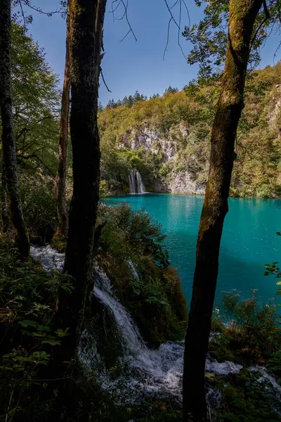 Lindas Águas Esmeralda Parque Nacional Dos Lagos Plitvice Croácia — Fotografia de Stock