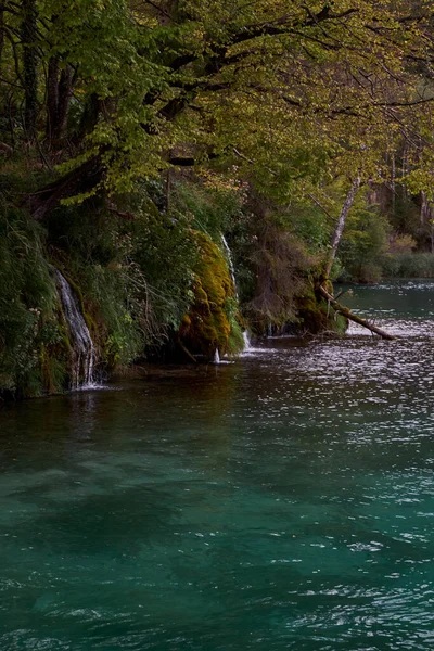 Hermosas Aguas Esmeralda Parque Nacional Los Lagos Plitvice Croacia —  Fotos de Stock