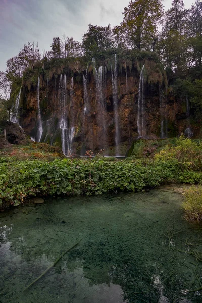 Árboles Detalles Del Parque Nacional Los Lagos Plitvice Croacia —  Fotos de Stock