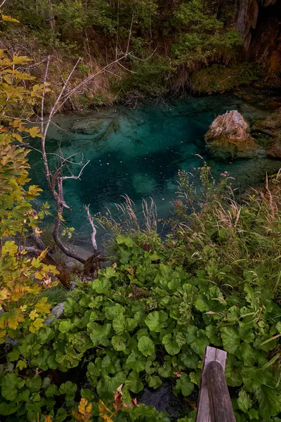 플리트비체 공원의 아름다운 에메랄드 워터스 크로아티아 — 스톡 사진