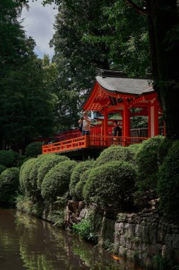 Tokyo, Japonya 'daki Ueno Park yakınlarındaki Nezu Tapınağı Bahçesi
