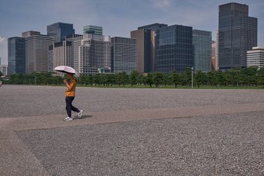 Tokyo Skyline in Skyscrapers in Imperial Palace - Japan clipart