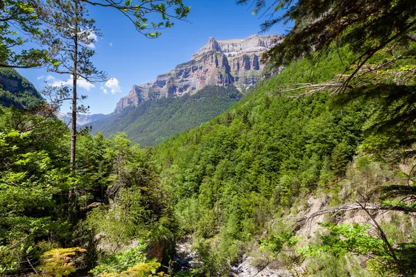 Great View Hiking Trail Monte Perido Zdjęcie Stockowe