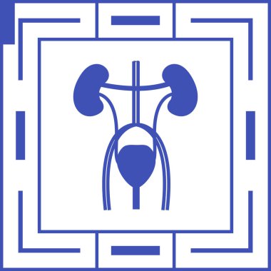 Böbrek. Web simgesi basit tasarım