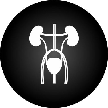 Böbreğin siyah vektör simgesi