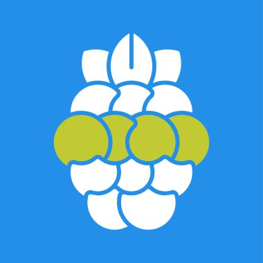 taze ve sağlıklı yiyecekler