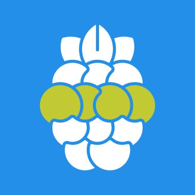 Taze meyve ikonu. vektör illüstrasyonu