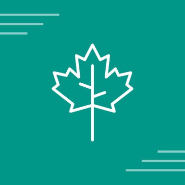 Kanada yaprağı ikonu. Yaprak kaplaması akçaağaç sembolü çizimi. vektör