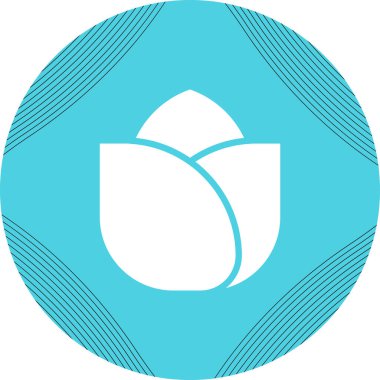 Gül yapraklarının temel doğrusal görüntüsü