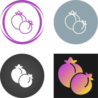 Beyaz arkaplanda kayısı meyve simgeleri