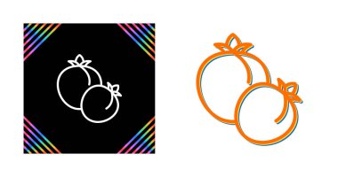 Beyaz arkaplanda kayısı meyve simgeleri