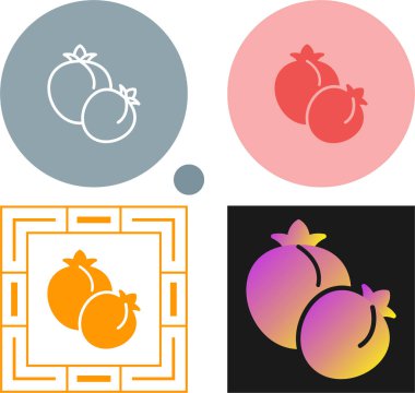 Beyaz arkaplanda kayısı meyve simgeleri