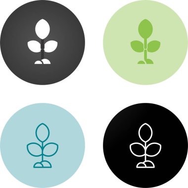 bitki simgeleri beyaz arkaplanda izole edildi