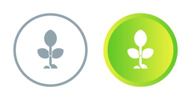 bitki simgeleri beyaz arkaplanda izole edildi