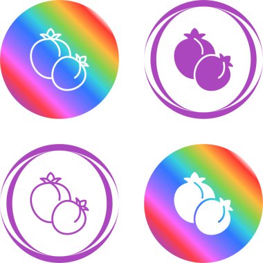 Beyaz arkaplanda kayısı meyve simgeleri