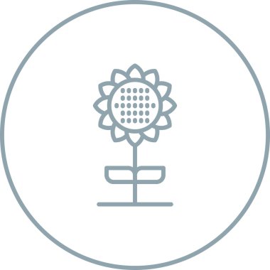 Ayçiçeği. Web simgesi basit illüstrasyon