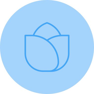  gül çiçeği ikonu vektör illüstrasyonu 