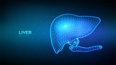 Karaciğer. Safra kesesi ve pankreası olan insan karaciğeri. Siroz ve hepatit tedavisi, bağış, tanı konsepti. Tıbbi ilaçlar ve eczane için soyut düşük çokgen organ. Vektör illüstrasyonu