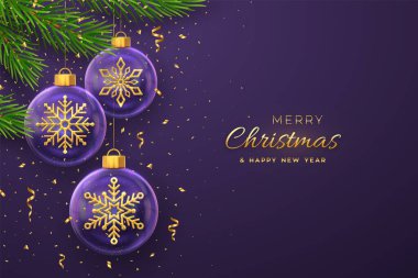 Mutlu noel tebrik kartları ya da afişler. İçinde altın kar taneleri olan şeffaf cam toplar, mor arka planda çam dalları ve altın yağışlı konfetiler. Yeni yıl 3D. Vektör illüstrasyonu