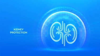 Böbrekler önemser. Sağlıklı böbrek tıbbi konsepti. Mavi arka planda altıgen desenli insan böbreği anatomisi ikonu koruyucu kubbe kalkanı. Dokunulmazlık koruması. Vektör illüstrasyonu