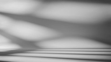 Minimum beyaz ve gri arka planda yumuşak pencere gölgeleri var. Güneş ışığıyla soyut boş beyaz oda. Ürün sunumu için beyaz stüdyo arka planı. Vektör illüstrasyonu