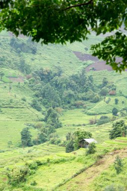 Pirinç tarlalarının ve Tayland Tepesi Kabilesi 'nin evinin manzarası. Köy, Mae Jam, Chiang Mai, Tayland 'daki pirinç teraslarının arasında bir vadide..