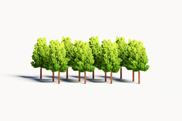 Boyutlu Illüstrasyon Isometric Sesli Ağaçlar Alçak Çokgen Ağacı Beyaz Arkaplanda — Stok fotoğraf