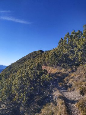 Schinder - bir Bavyera dağı