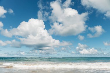 Brezilya 'nın Porto de Galinhas şehrinde ufukta bulutlar görünen tropikal bir sahil..