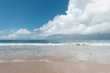 Brezilya 'nın Porto de Galinhas şehrinde ufukta bulutlar görünen tropikal bir sahil..