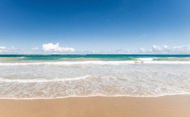 Porto de Galinhas adında bir plaj. Brezilya kıyılarında bulutlu bir sürü dalga ve gökyüzü..