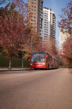 Brezilya 'nın Curitiba kentindeki bir meydanda bulunan simetrik sütunları ve kemerleri olan neoklasik cepheli bir Alman evinin kopyası..