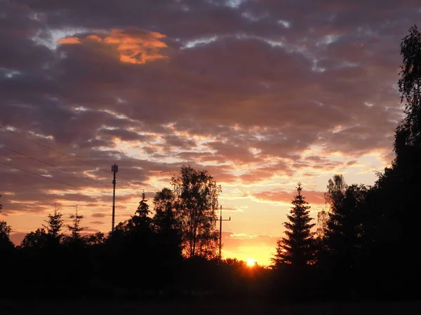 Zachód Słońca Dramatycznymi Chmurami Sylwetkami Drzew — Zdjęcie stockowe