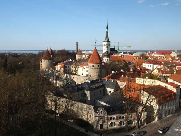 Vista Tallinn City Desde Mirador — Foto de Stock