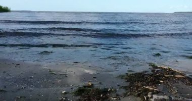 Dalgalar Nazikçe Szczecin Gölü kıyısına vuruyor, Almanya