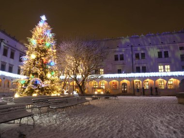 Pomeranya Dük Şatosu, Szczecin, Polonya 'da Gece Bahçesi' ndeki Noel Ağacı