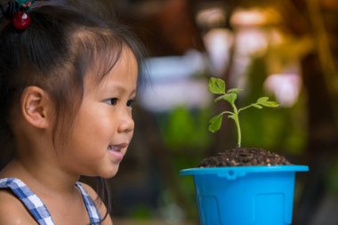Şirin çocuklar mavi çaydanlıktaki yeşil filizlere aşkla bakar. Mutlu bir gülümseme ve bir saksıya yerleştirilmiş kaçış.