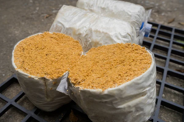 Siyah plastik ızgarada mantar kübü yetiştirmek için bir parça istiridye mantarı..