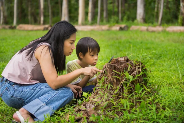 Asian Mom showing to her son something on her phone or to searching and leaning about nature.