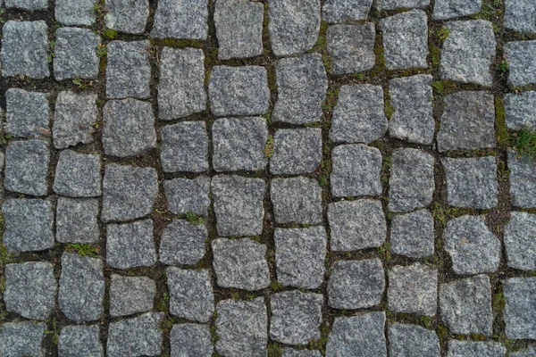 通常のラインに配置された通常の立方体の天然石舗装の上からの眺め — ストック写真