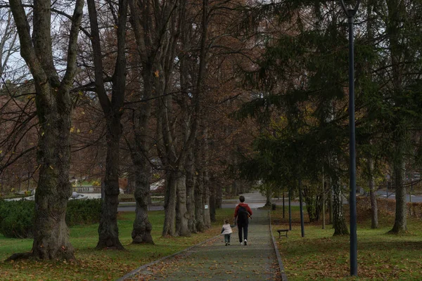 stock image father and daughter walking along a path between tall trees in a deserted park in autumn