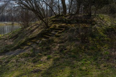 Eski taş manzaralı güzel manzara parktaki tepede, çalıların ve ağaçların arasında merdiven yosunlarla kaplanmış. 