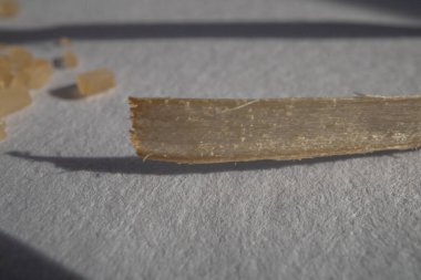 Beyaz arka planda güneş ışığında ince ahşap talaşları