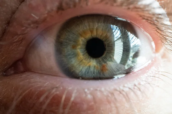 beautiful green human eye macro photo